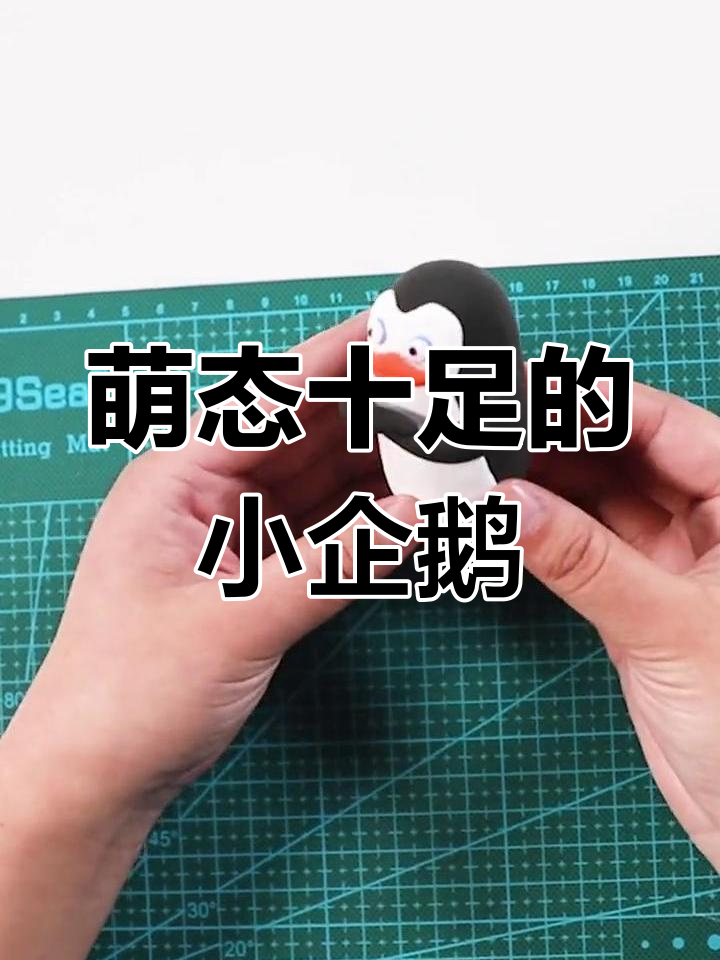 小企鹅胖乎乎的,雪白肚皮挺起,走路摇摆如不倒翁般可爱