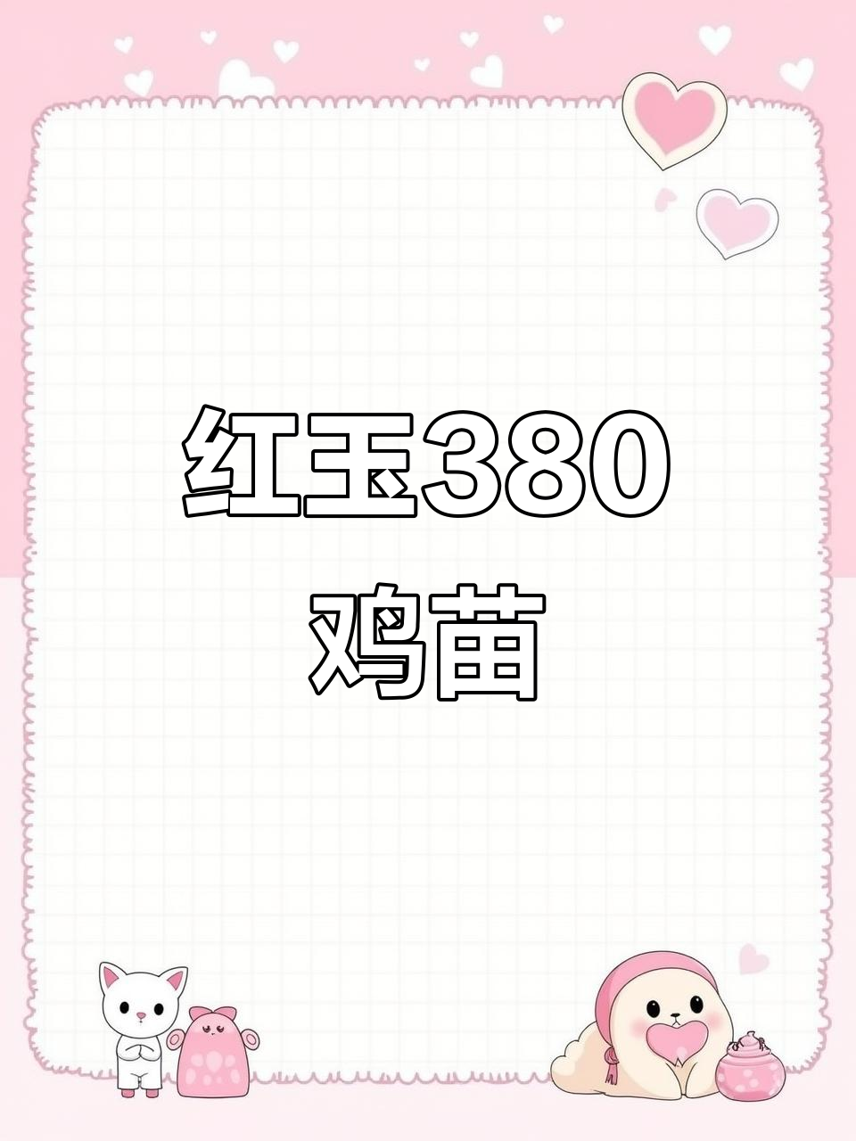 红玉380鸡苗:优质品种,助力养殖事业