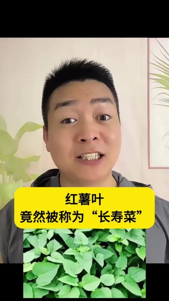 红薯叶竟然被称为“长寿菜”！