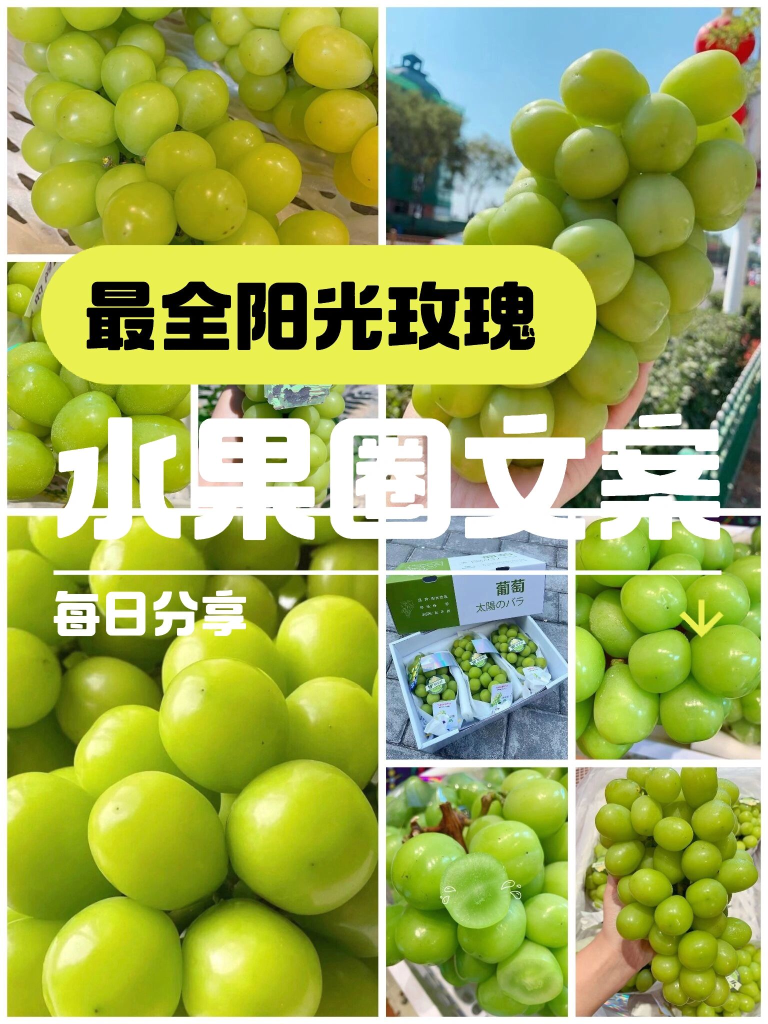 水果圈‖超赞的阳光玫瑰朋友圈文案分享