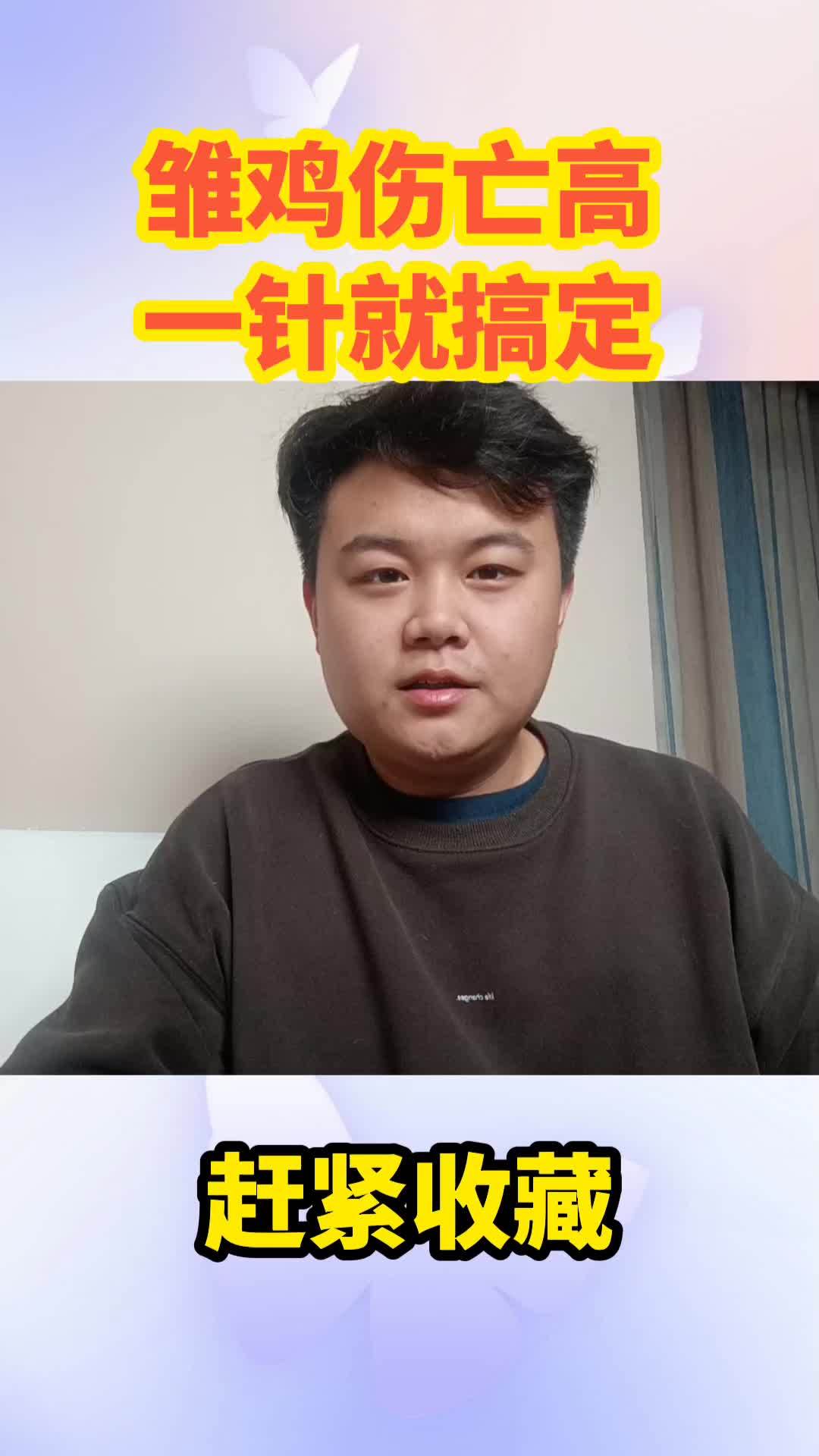 农村散养土鸡 蛋鸡养殖 养鸡 养鸡人 跑山鸡