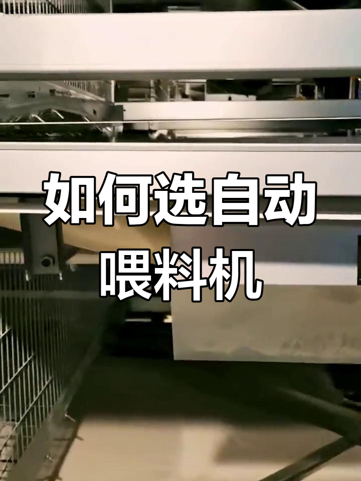 自动喂料机选择指南:炼石与行车机型对比分析