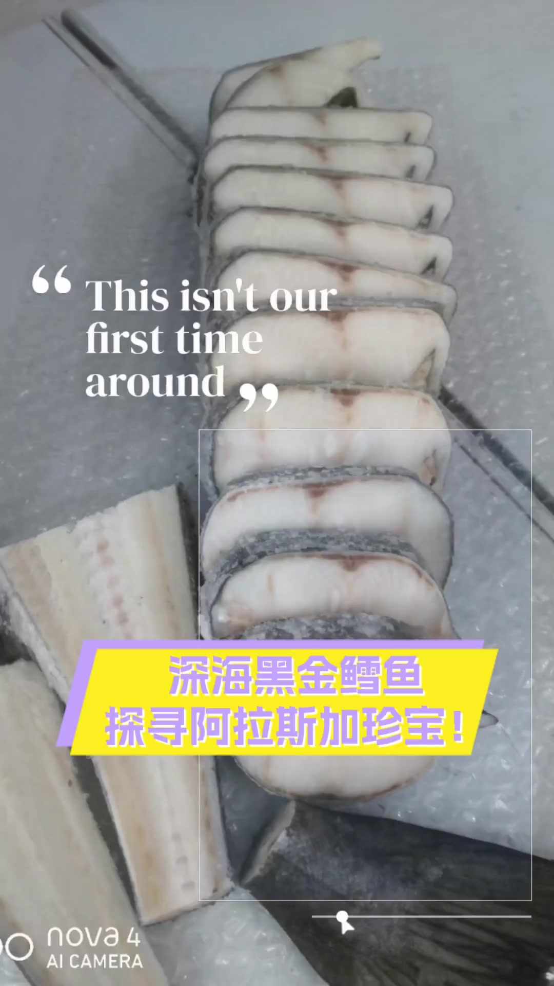 深海黑金鳕鱼,探寻阿拉斯加珍宝!
