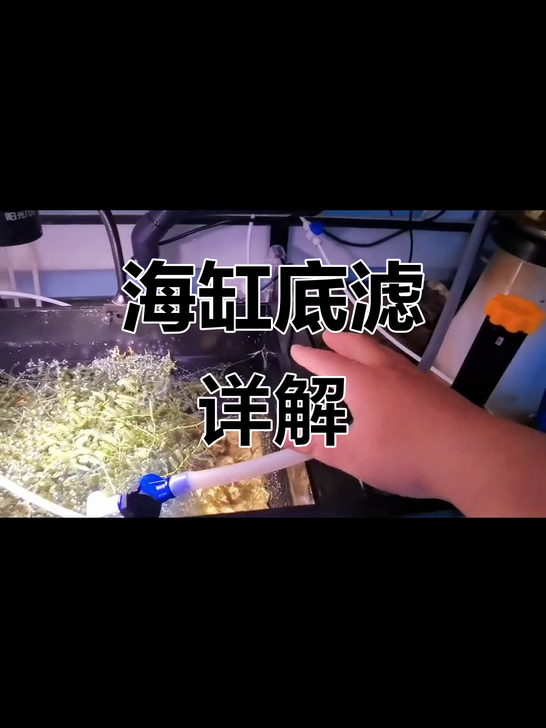 底滤系统全解析:如何打造高效海缸过滤