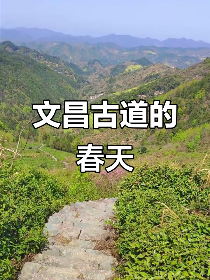 春日文昌古道,油菜花海与徽派建筑交相辉映