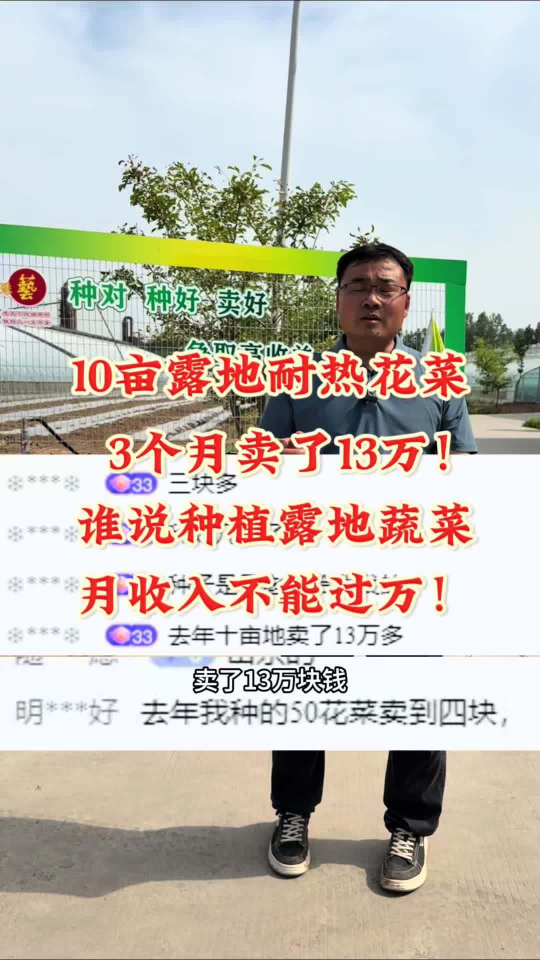 10亩露地耐热花菜3个月卖了13万。谁说种植露地蔬菜月收入 不能过万!三农 农业种植 耐热