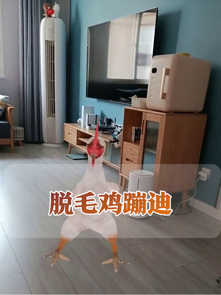 家里闯进脱毛鸡,客厅秒变迪厅现场,舞姿笑到打鸣!