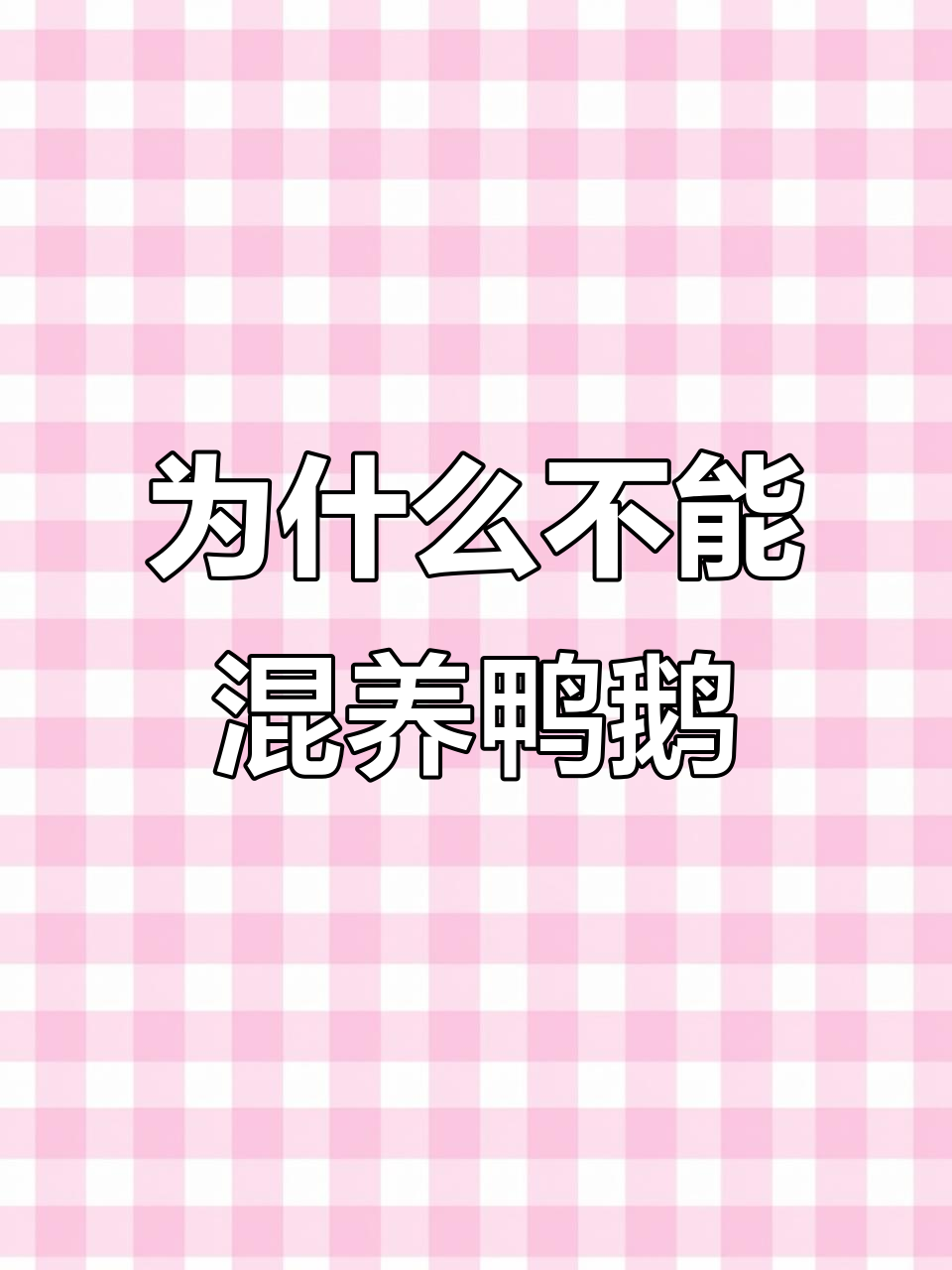 鸭鹅混养为何不可?禽流感风险揭秘