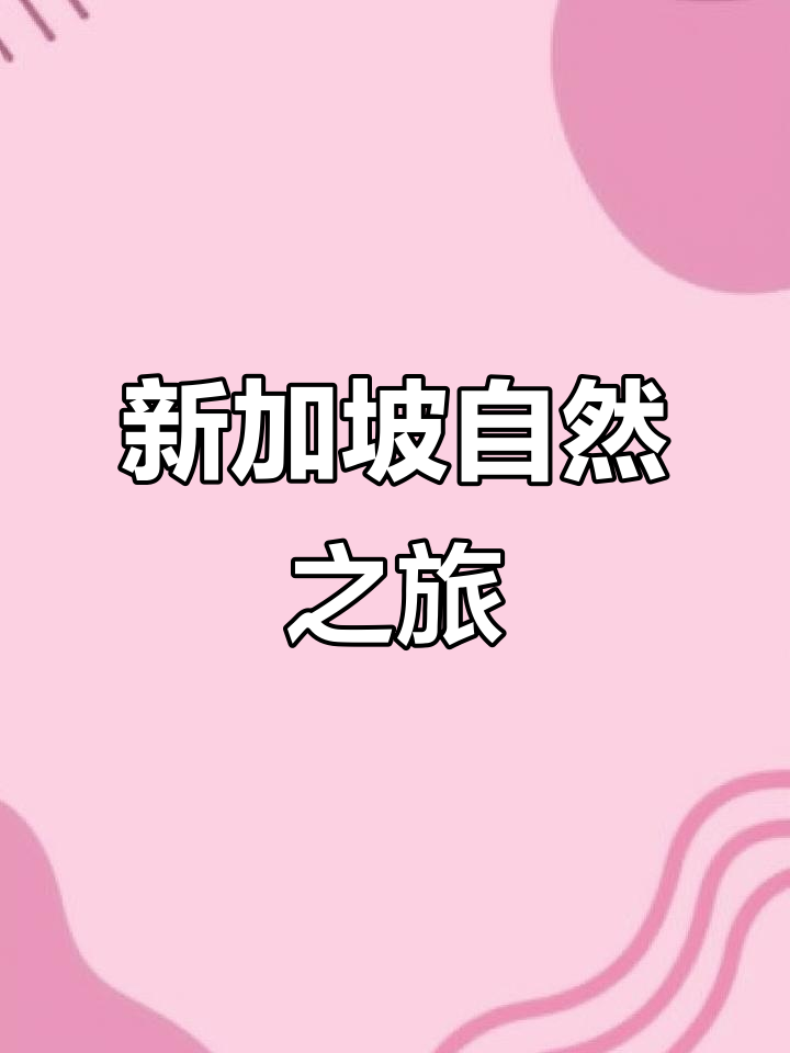 探索新加坡自然博物馆,感受独特展品与创意陈列