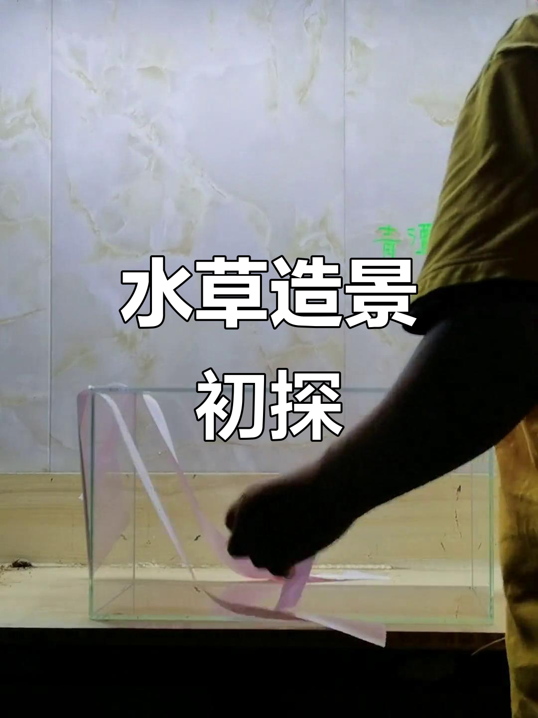 今天分享水草造景第一步:背景纸粘贴技巧,超实用!
