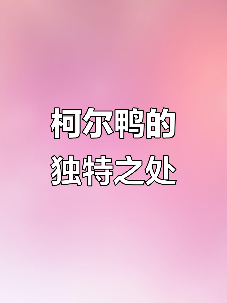 柯尔鸭与普通家鸭的区别:性格、寿命和繁殖特点大揭秘