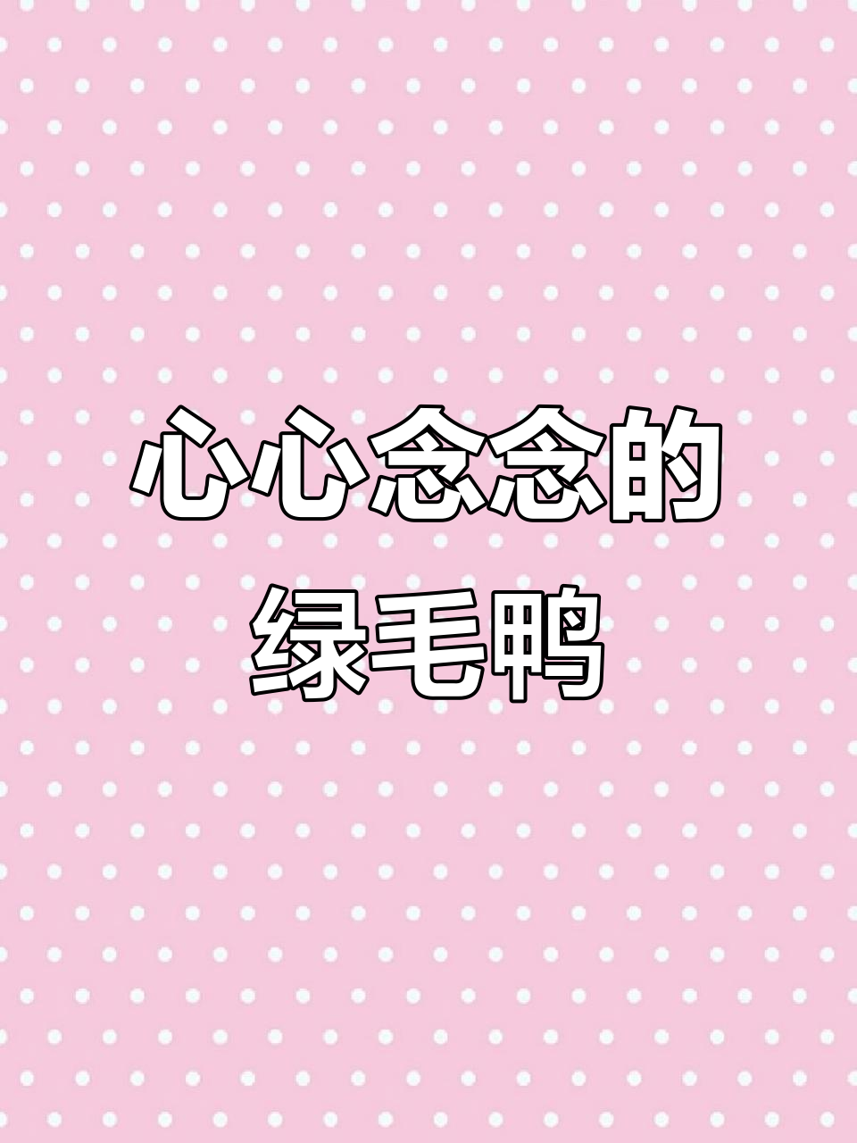 绿毛呆头鸭的心动时刻,萌态十足