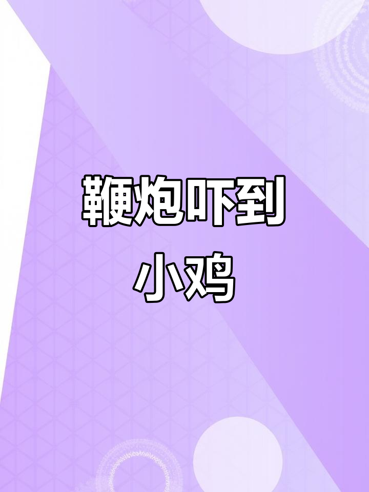 小鸡小白被鞭炮吓得逃走,最后又回来了!