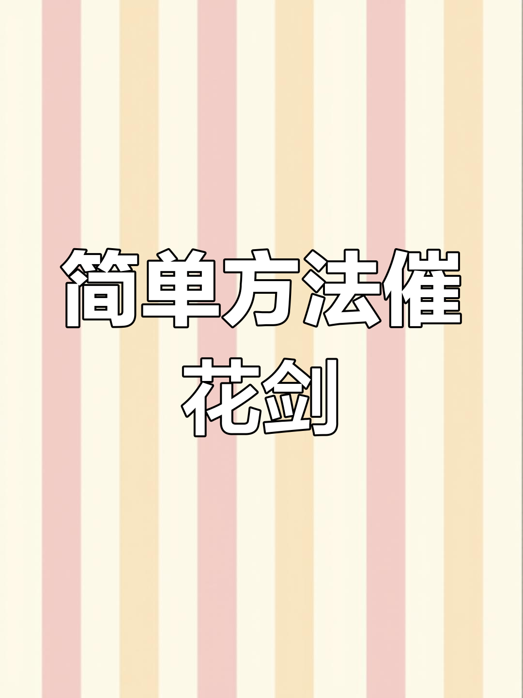 蝴蝶兰开花秘诀:两招让它花箭多又美,新手也能轻松学会