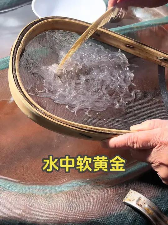 为啥鳗鱼苗叫水中软黄金?难繁殖是关键!#鳗鱼苗 #科普 #涨知识 #水中软黄金 #有趣