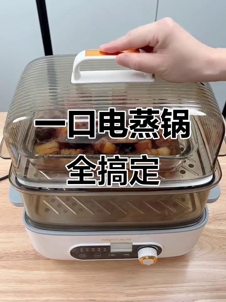 电蒸锅全能,热菜、蒸鱼虾蛋米饭馒头都能搞定