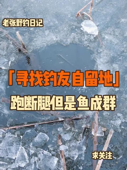 钓鱼作死行为:发鱼获不发钓点,看我如何破