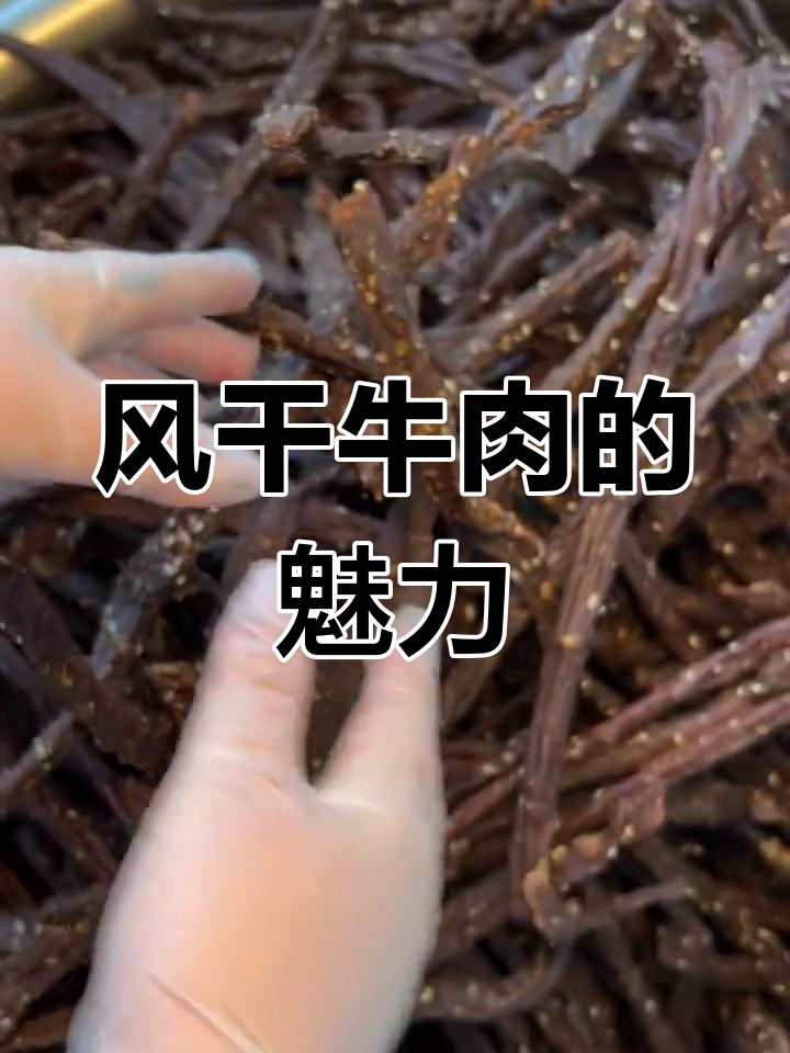通辽牛肉干,风干4天,咬着吃才香!