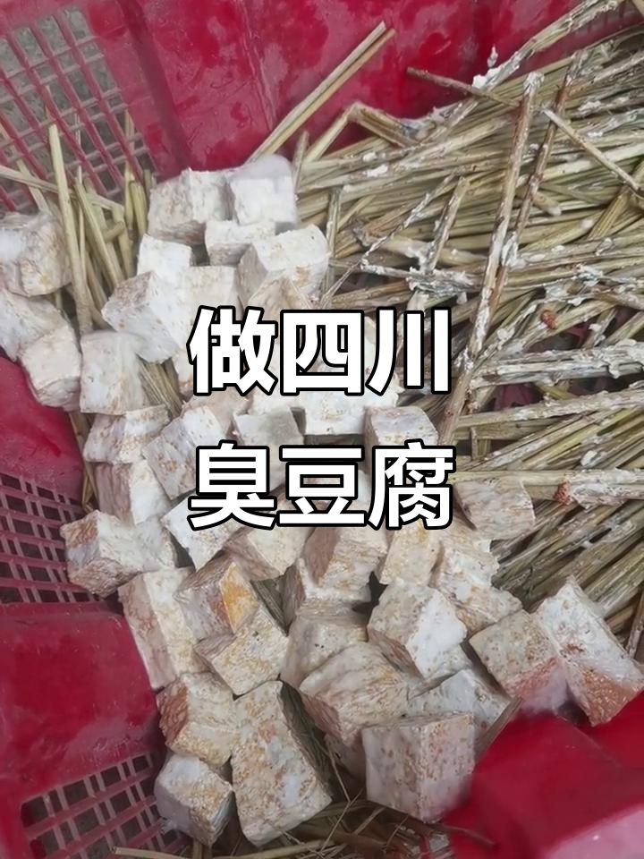 四川传统臭豆腐制作揭秘,农村日常生活的真实记录