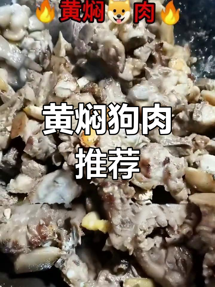 经济实惠黄焖狗肉,美味又养生