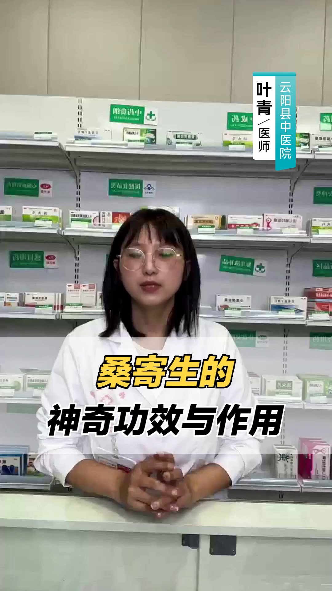 桑寄生的神奇功效与作用