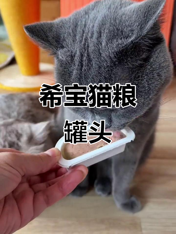 希宝主食罐头,挑嘴猫咪也爱吃!