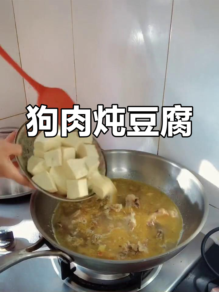 家庭版狗肉炖豆腐,香辣美味