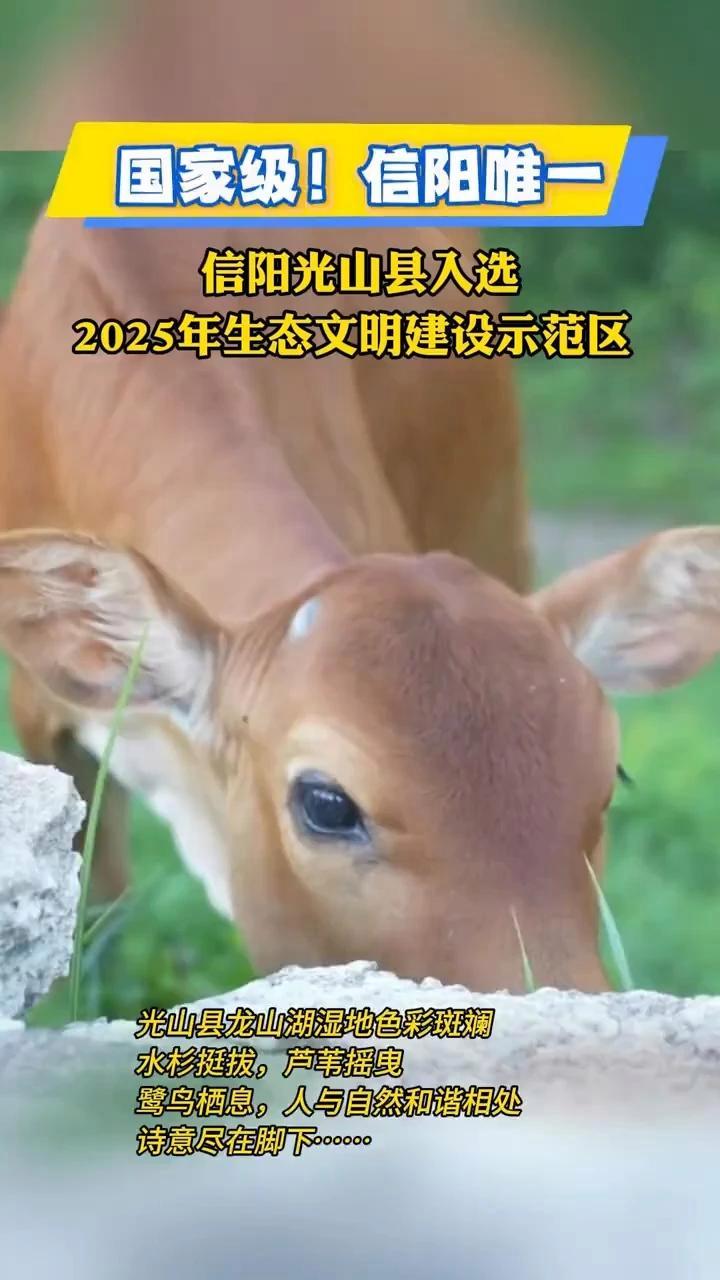 国家级!信阳唯一!光山县 拟入选2025年生态文明建设示范区(来源:信阳新闻网)