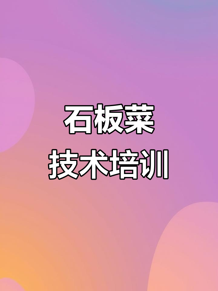 特色石板菜技术培训，核心配方全传授