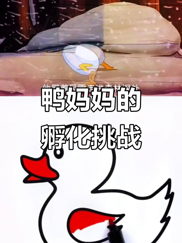 鸭妈妈独自孵蛋,小鸭子们花样百出