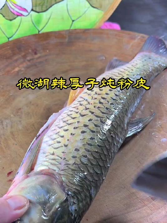 微山湖辣厚子炖粉皮是这样做的