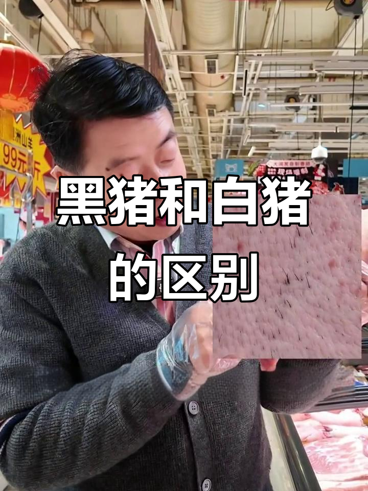 黑猪肉与白猪肉大不同,口感、营养全解析