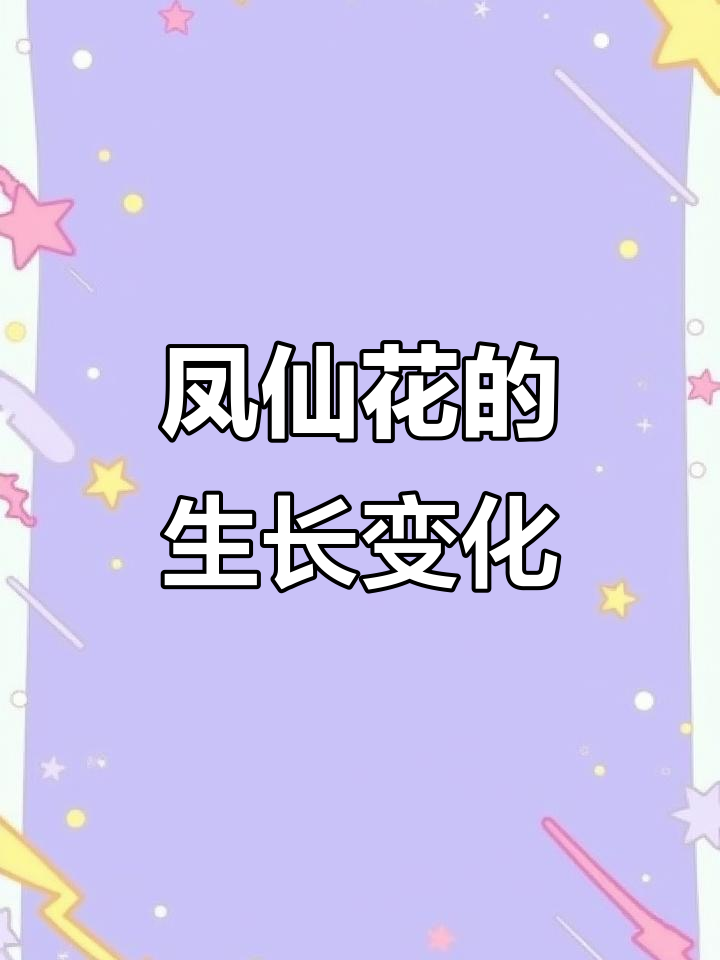凤仙花的一生:从种子到开花的全过程观察与记录
