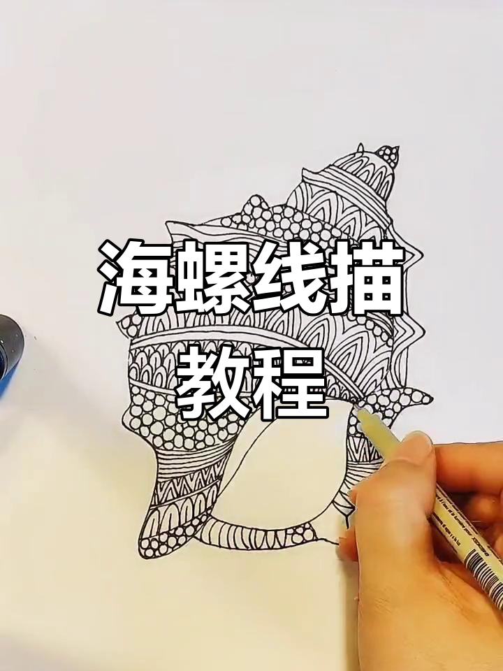 画海螺的黑白线条技巧,轻松掌握海洋生物细节