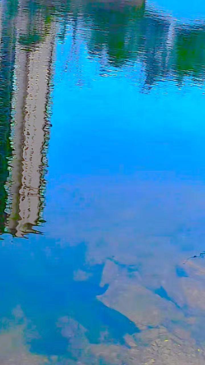 无尾鱼 钓鱼的乐趣只有钓鱼人懂 爱生活爱钓鱼