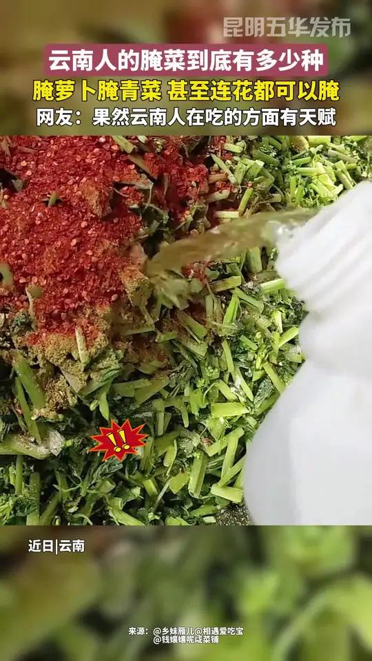 云南人的腌菜到底有多少种