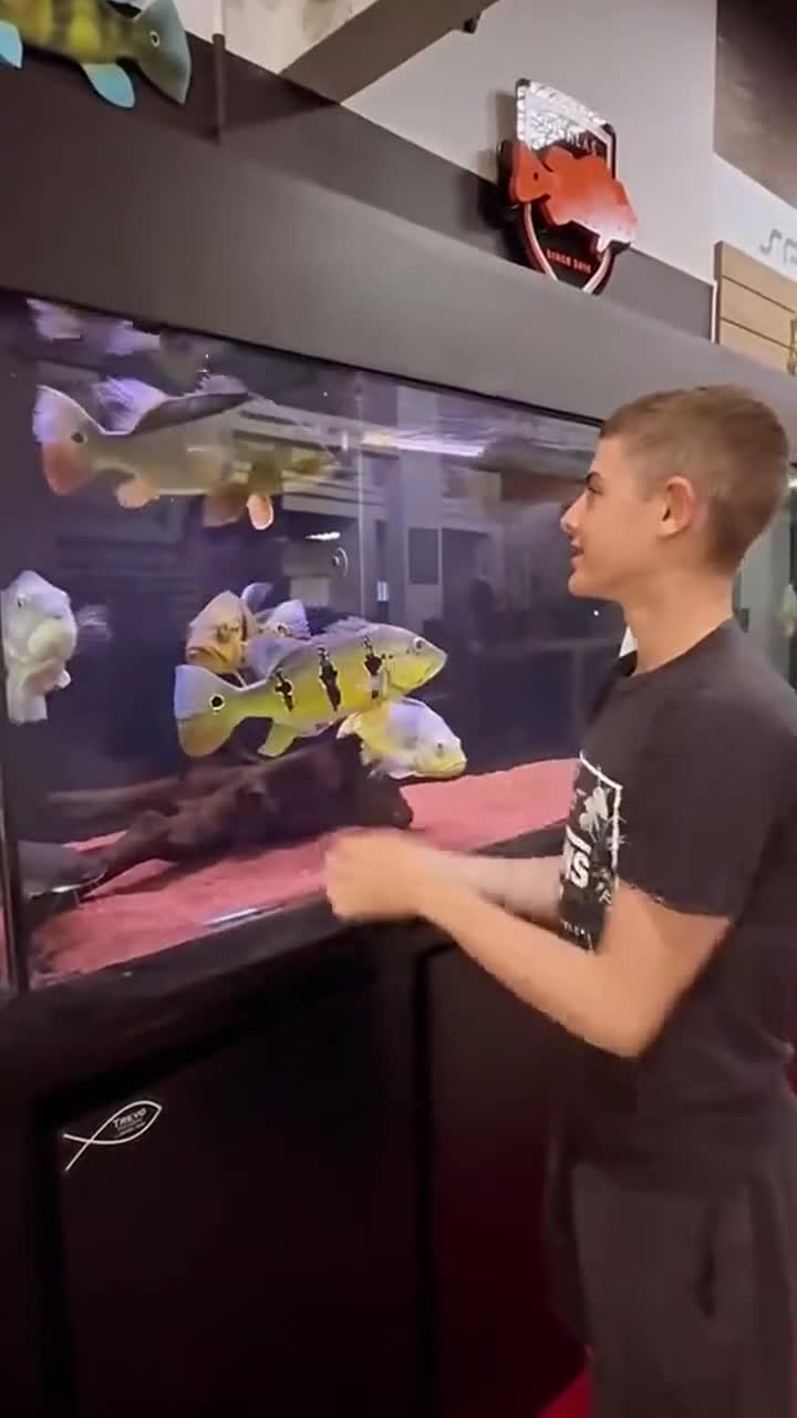 天生就是路亚鱼种!无论在哪儿都忘不了这一口!户外钓鱼