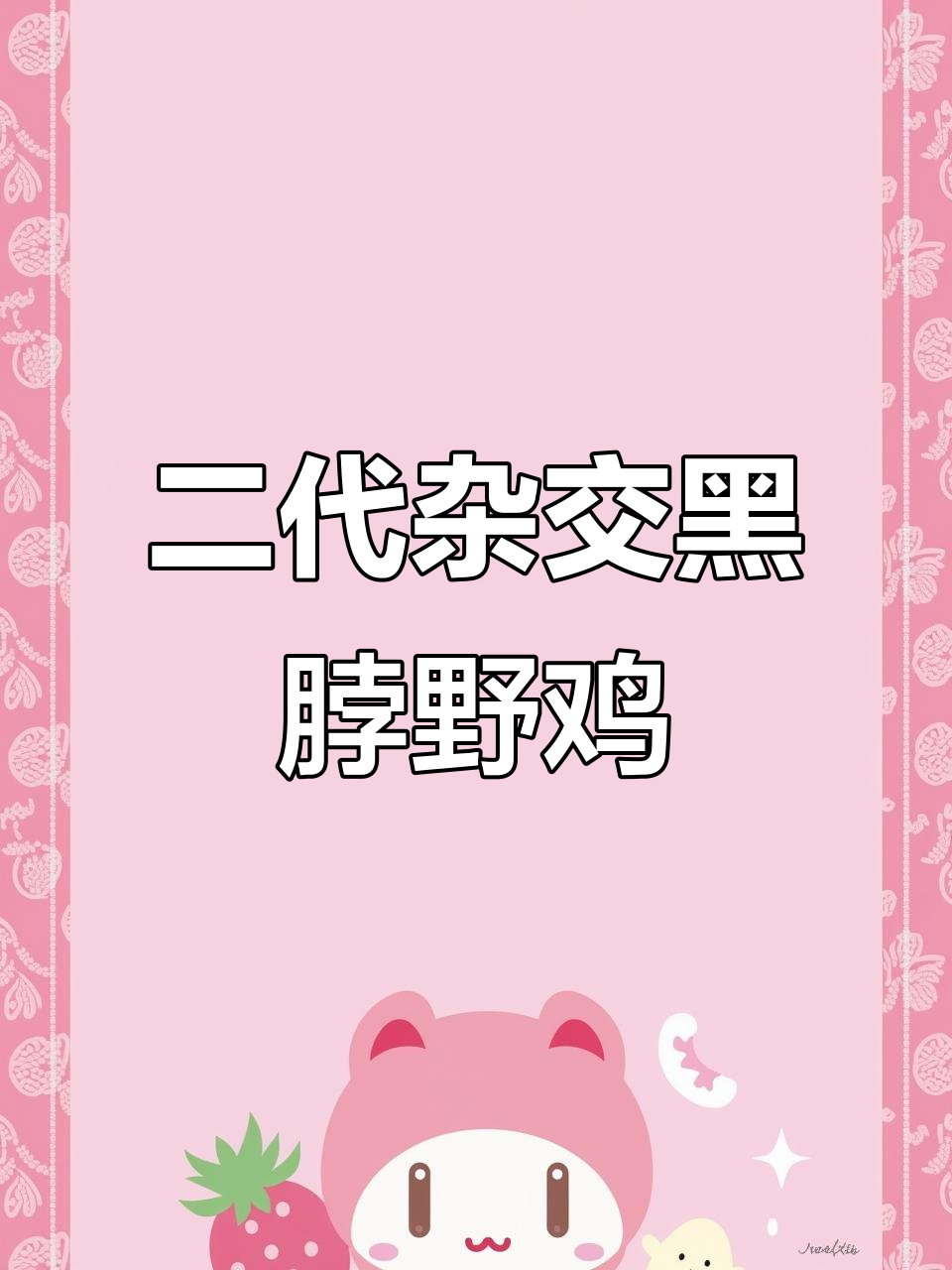 贵州二代杂交黑脖野鸡养殖揭秘，珍禽新宠来袭