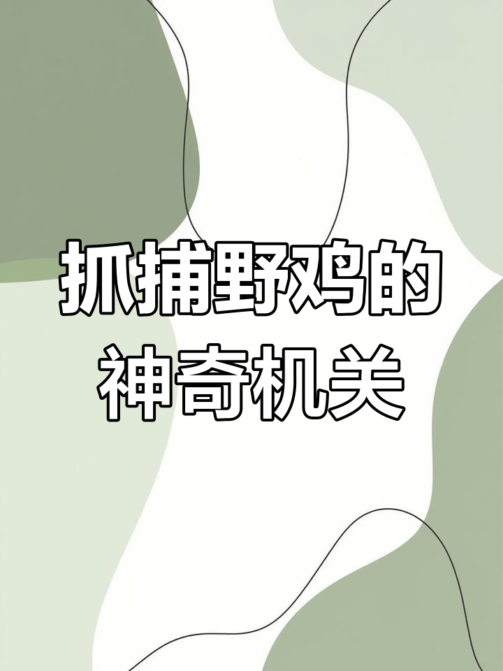 野外陷阱捕捉野鸡,贪吃让它自投罗网