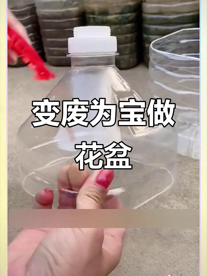 废油桶变花盆,简单几步教你DIY懒人种菜神器