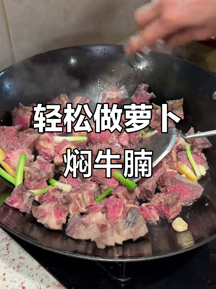 懒人也能做出大师味道,萝卜焖牛腩家常做法