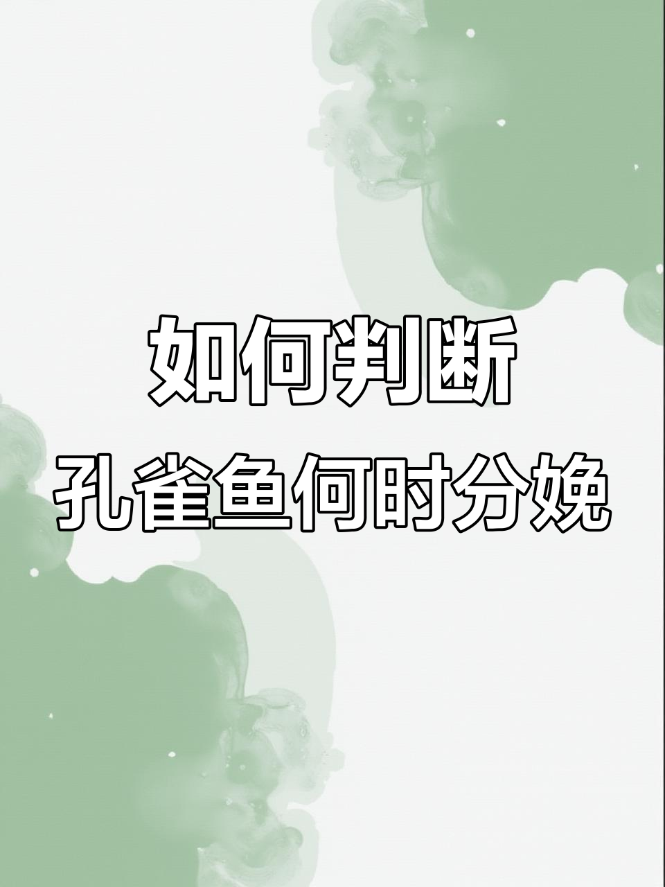孔雀鱼怀孕多久能生？胎斑变化揭秘生产时机