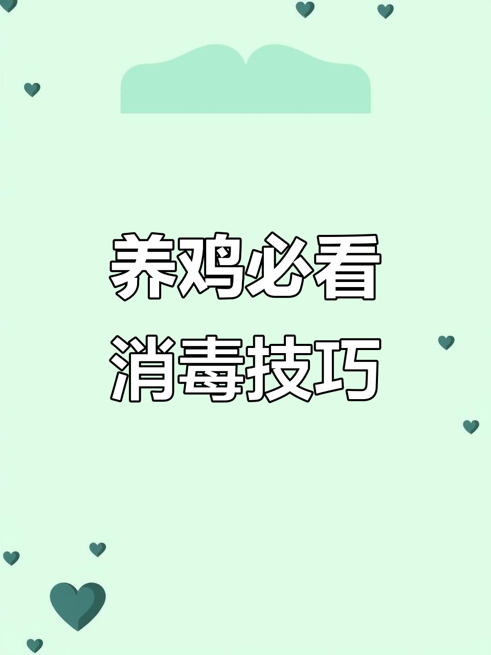 鸡舍消毒新方法,简单有效防咳嗽