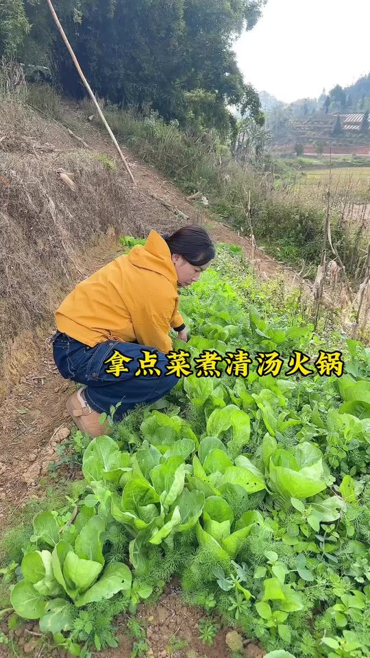 今天用油炸肉煮一锅清汤火锅