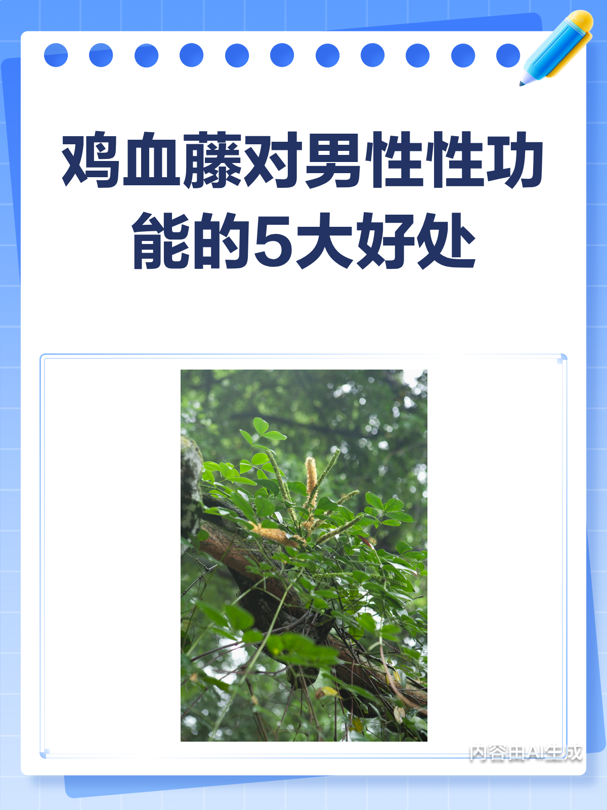 鸡血藤,男性性功能的“秘密武器”?