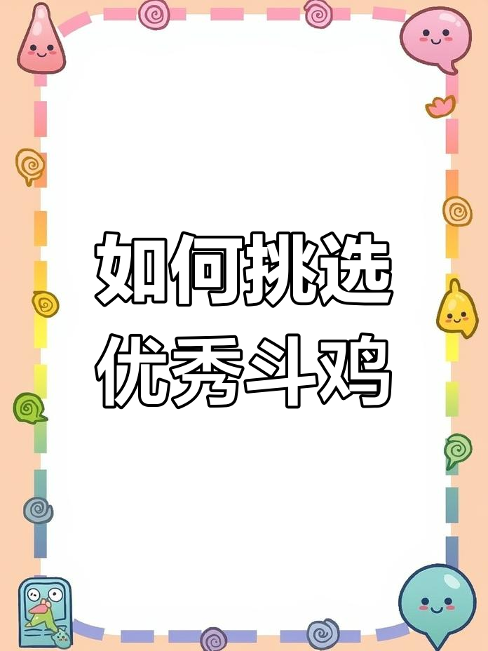 选斗鸡的秘诀:从头部到腿部的全攻略