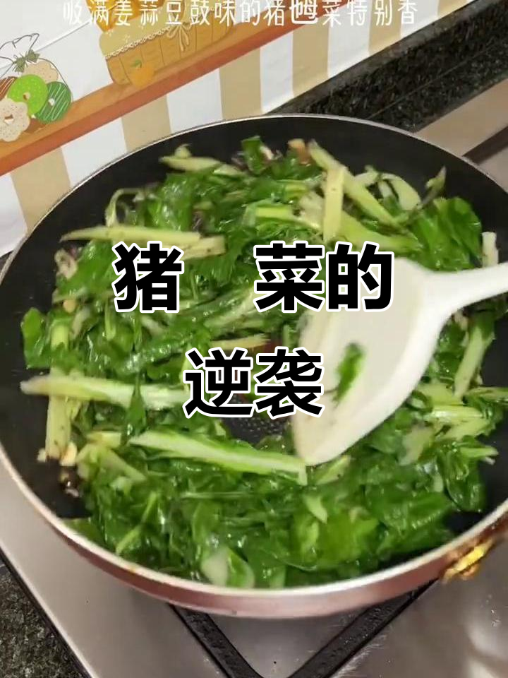 现代人竟爱猪吃的菜,吸汁浓郁的猪乸菜成新宠