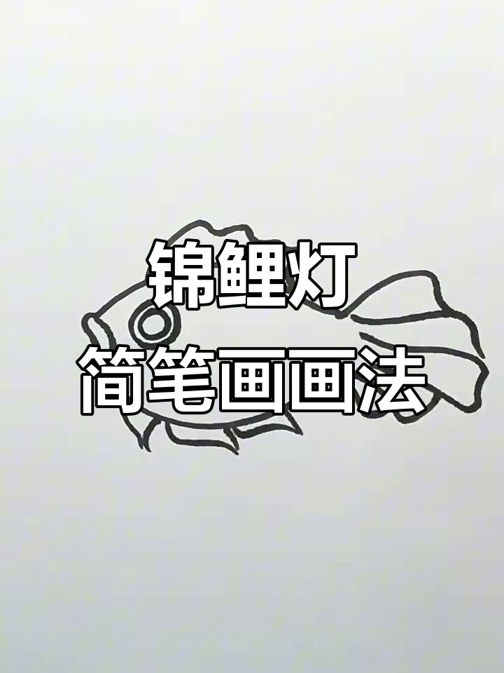 锦鲤花灯简笔画教程，轻松画出可爱鱼形灯光