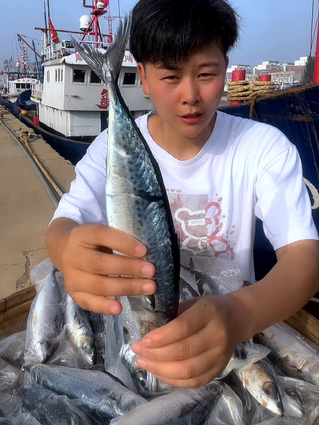 青花鱼 也叫鲭鱼花仙鱼鲐鱼