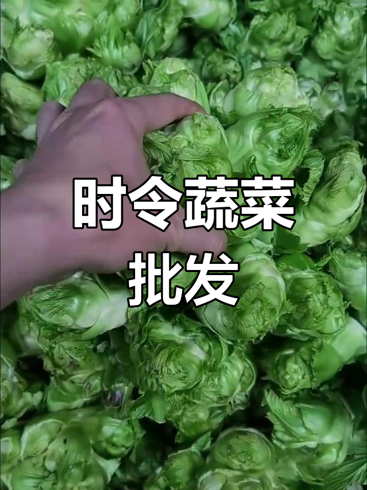 四川时令蔬菜,嫩儿菜、榨菜应有尽有